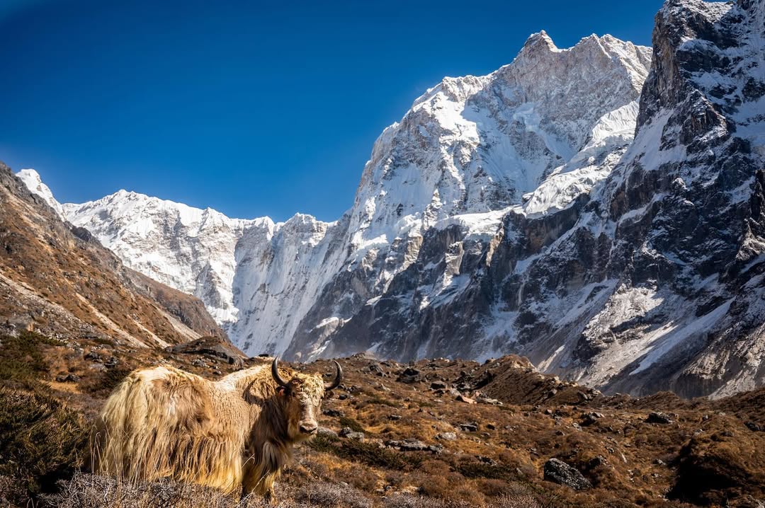 Kangchenjunga is the third highest mountain in the world, standing at 8,586 meters. It lies in the eastern Himalayas on the border between Nepal and India. Kangchenjunga means "The Five Treasures of Snow," referring to its five major peaks. It is considered sacred by local people and is known for its remote, untouched beauty. The mountain is less climbed than Everest, making it a quieter destination for experienced trekkers and climbers. It’s surrounded by glaciers, forests, and diverse wildlife.