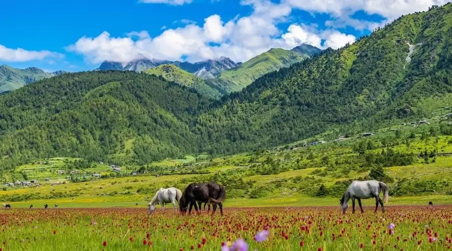 Dhorpatan Travel Guide from Kathmandu
